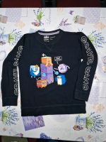 Minecraft Pullover von Reserved Gr. 152 Leipzig - Schönefeld-Abtnaundorf Vorschau