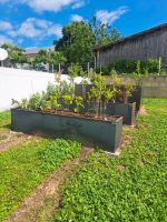 Hochbeet, Stahlbeet, Rostbeet Bayern - Berngau Vorschau