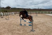 Reitplatz Reitanlage Pachten Mieten Stall Boxen einstallen Hessen - Lohfelden Vorschau