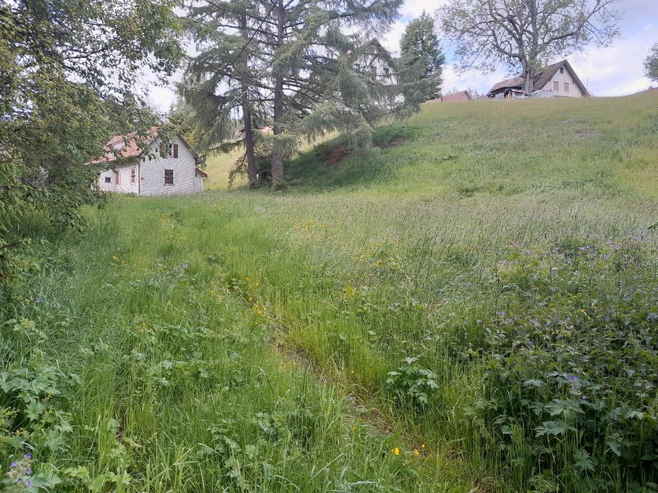 Mulcharbeiten / Mäharbeiten in Titisee-Neustadt