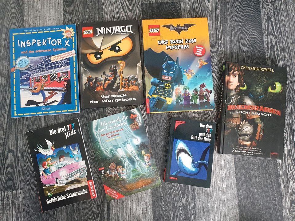 7x Kinder Buch LEGO NINJAGO BATMAN  DRACHENZÄHMEN ??? Lesespaß in Dortmund