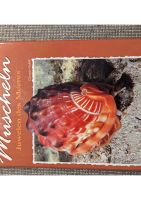 Buch Muscheln Nordrhein-Westfalen - Dinslaken Vorschau