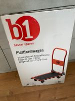 Plattformwagen FEST PREIS! Baden-Württemberg - Villingen-Schwenningen Vorschau