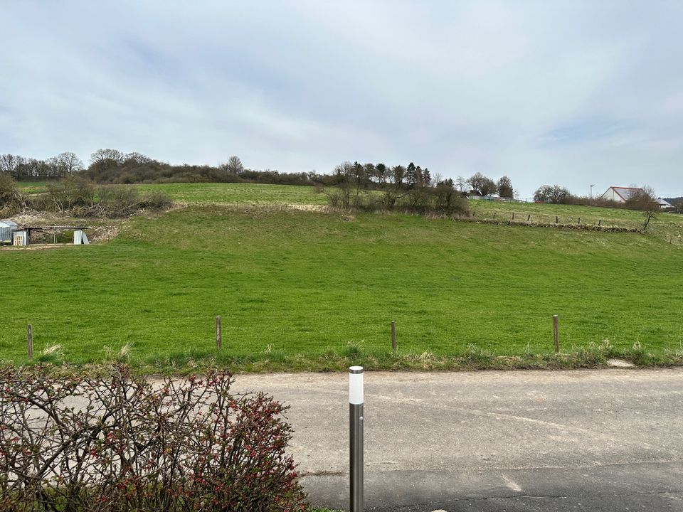 Idyllisches Einfamilienhaus in Raboldshausen mit Garten *** Jäger ist keine Pflicht, um hier einzuziehen *** in Neuenstein