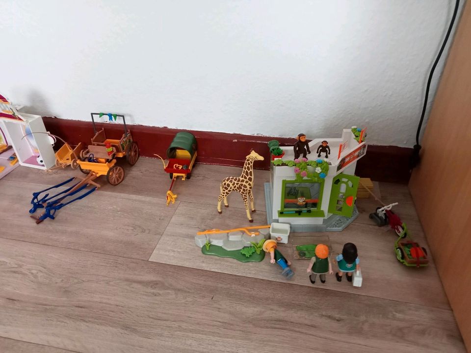 Playmobil Schloss, Tiere, Auto, Spielzeug in Bodenfelde