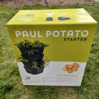 Paul Potato guter Zustand Kartoffeln pflanzen Niedersachsen - Siedenburg Vorschau