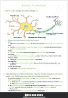 Lernzettel & Nachhilfe Biologie Abitur NRW (LK) Bochum - Bochum-Südwest Vorschau