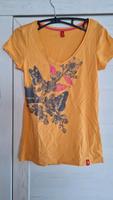 EDC Esprit T-Shirt, Gr 34, Baumwolle Bayern - Lichtenfels Vorschau