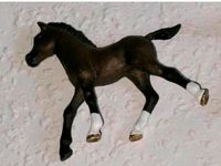 Schleich Pony Nordrhein-Westfalen - Rheurdt Vorschau