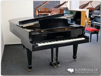 Hochwertiger Yamaha G7 Flügel, 227cm, schwarz poliert Nordrhein-Westfalen - Altenberge Vorschau