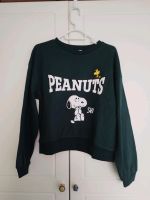 Pullover von Peanuts Kreis Ostholstein - Eutin Vorschau