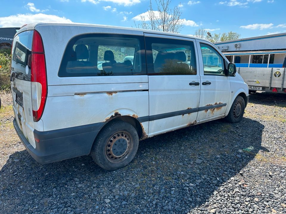 Mercedes Vito 109 CDI Bj:2005 Schlachtfest in Klostermansfeld