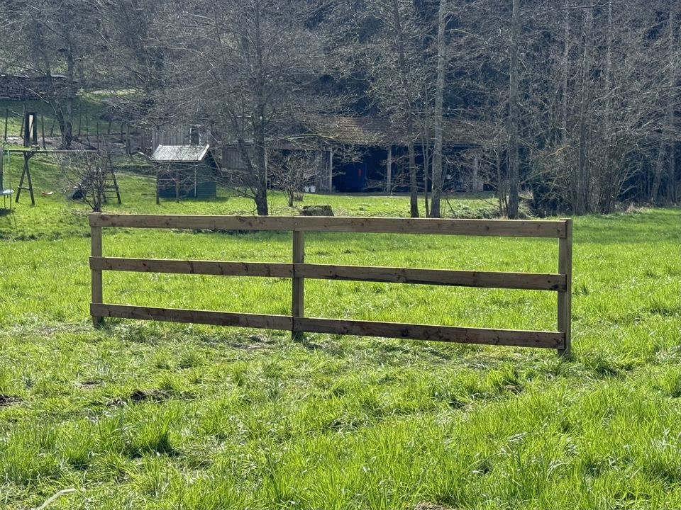 Pferdezaun Weidezaun Koppelzaun Plankenzaun Holzzaun Zaun - 200m in Olsberg