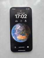 iPhone 12 Pro Max 256GB Hessen - Rüsselsheim Vorschau