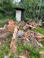 Holz zum abholen Hessen - Wiesbaden Vorschau