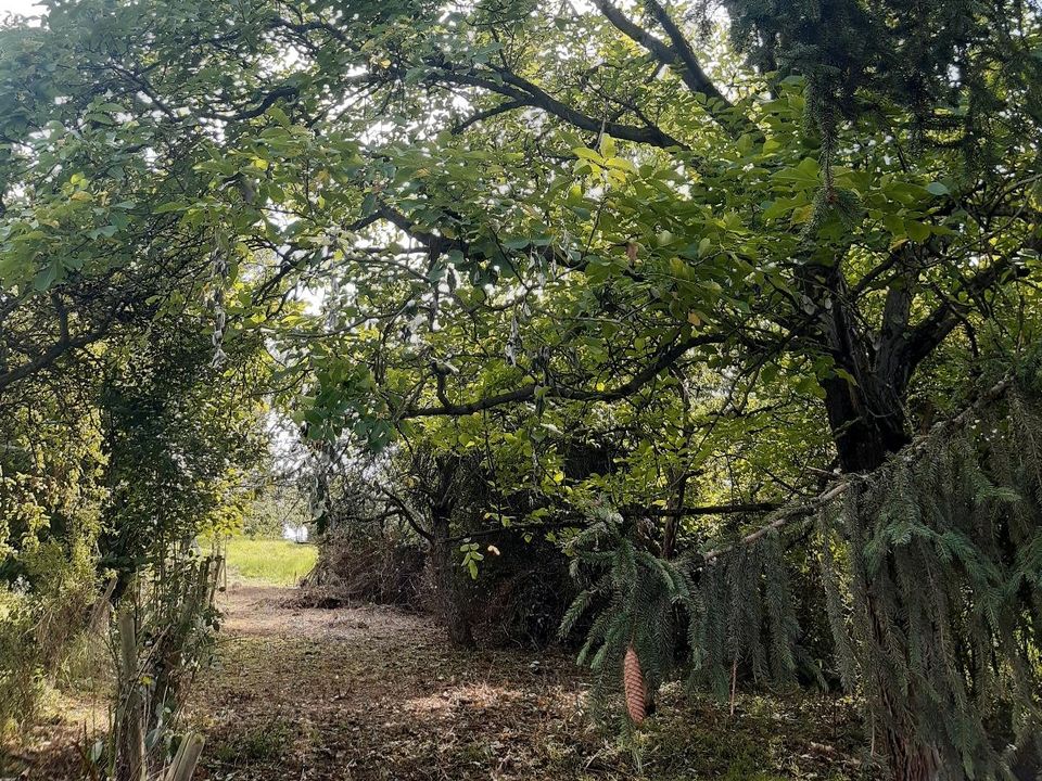 Garten Grundstück in Weinstadt