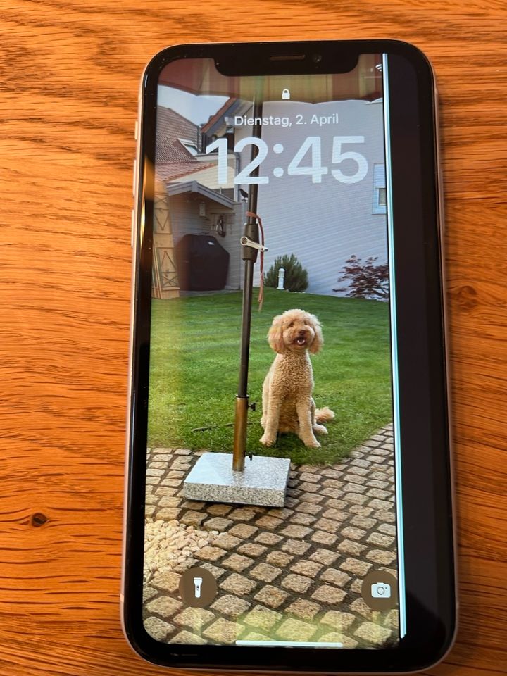 iPhone XR, 64 GB keine Beschädigungen am Gehäuse /Glas reduziert! in Wallertheim