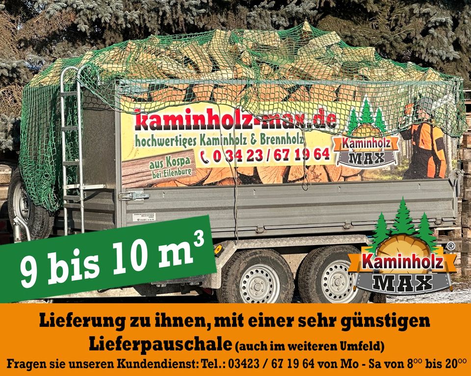 ab 4 m³ bis 35 m³ - 30 km um GRIMMA, Kaminholz, Brennholz, Feuerholz, Holzvergaser, Kamin, Holz, Feuer, Brenn in Grimma