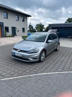 Volkswagen Golf VII 1.0 TSI Sound Niedersachsen - Parsau Vorschau