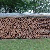 Brennholz Fichte Meterstücke gespalten und trocken 1 m heizung Bayern - Marktleugast Vorschau