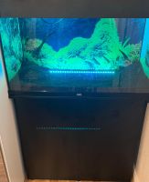 Aquarium WIE NEU 120 L,mit Unterschrank Mitte - Wedding Vorschau