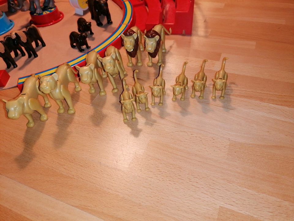 Playmobil Zirkus in Braunschweig