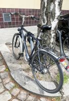 Fahrrad für Herren Berlin - Spandau Vorschau