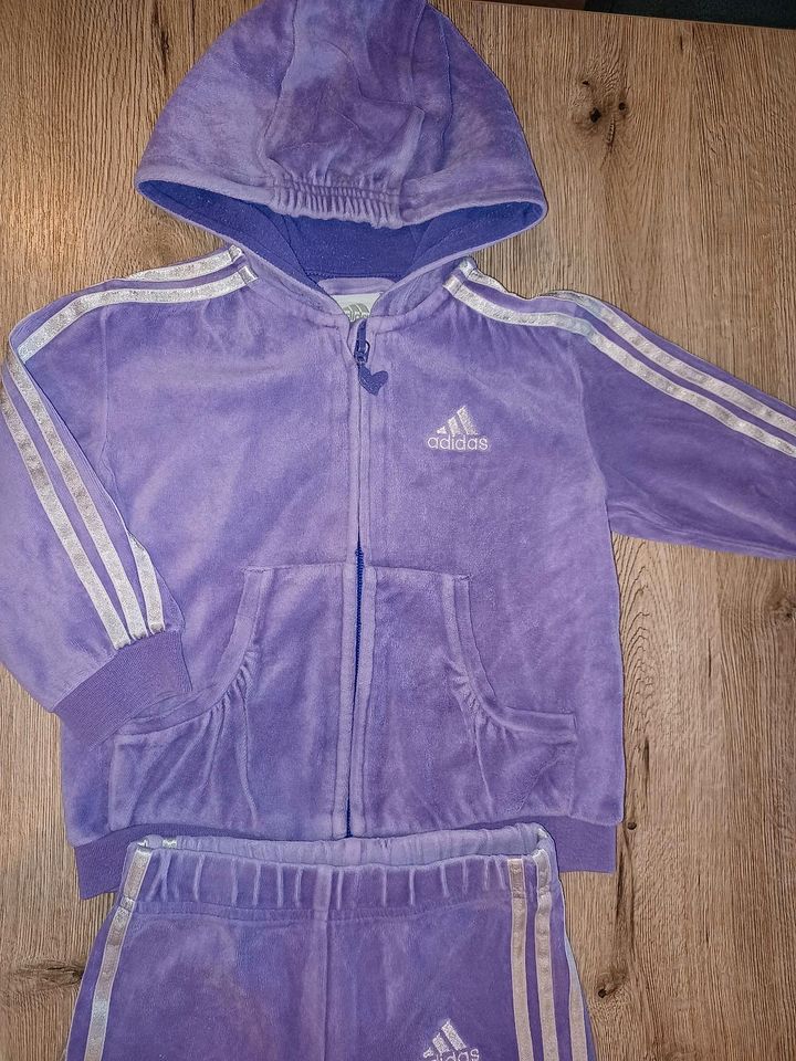 Adidas Jogginganzug Gr. 74 Lila Hausanzug in Esens