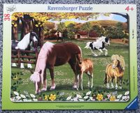 Ravensburger Rahmenpuzzle Puzzle Ponyleben Wald Tierfamilien Bayern - Ebersdorf Vorschau