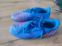 Adidas Predator Größe 42 Niedersachsen - Rhauderfehn Vorschau