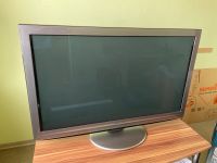 Panasonic Plasmafernseher 42 Zoll Saarland - Eppelborn Vorschau