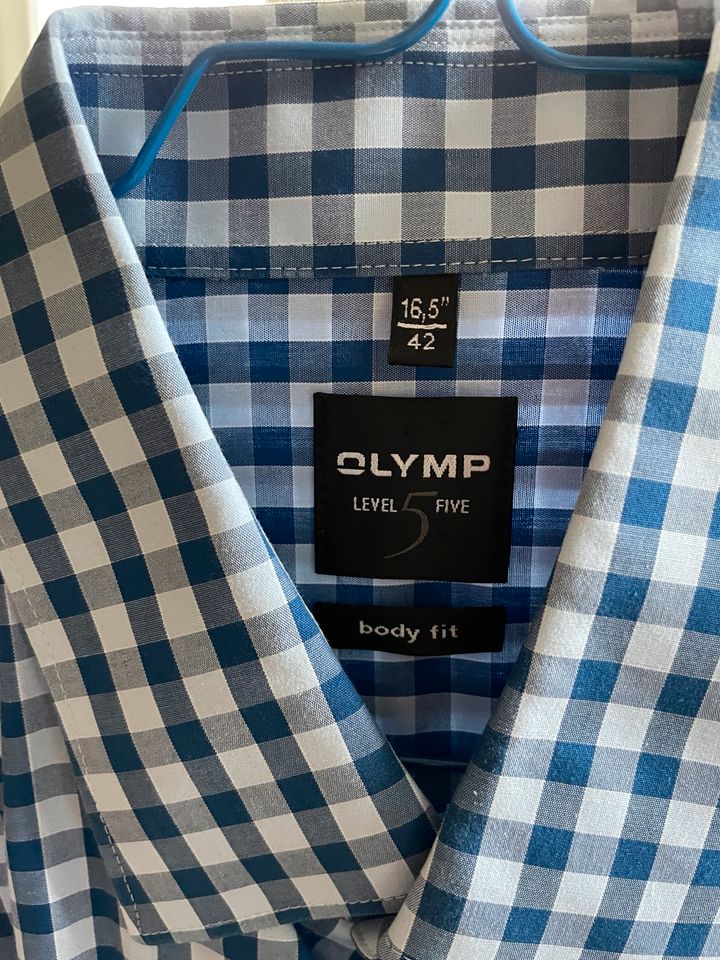Hemden, Olymp Modern Fit 41, 42, 43 in Lamspringe