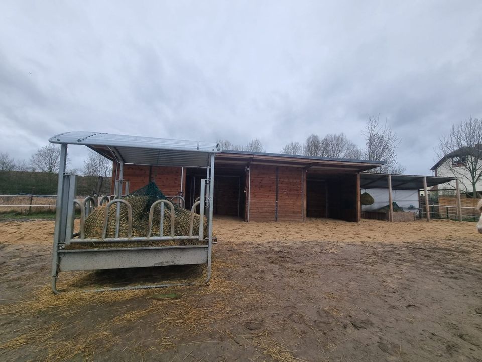 Einfamilienhaus mit Offenstall / Wohnen mit Pferden in Seelow