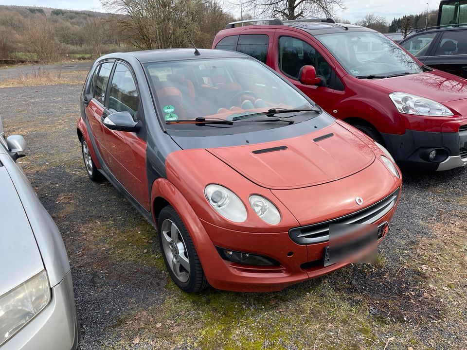 Smart Forfour CDI in Westerburg