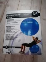 Gymnastikball 75cm Sachsen-Anhalt - Gröbzig Vorschau