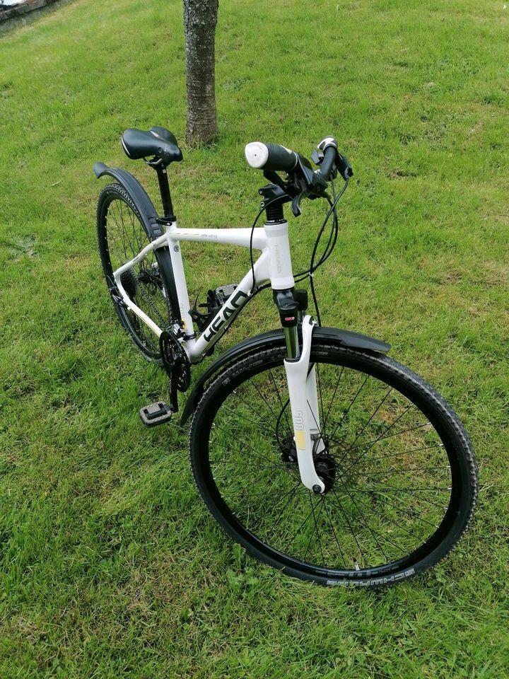 Head Crossbike Fahrrad in Wilgartswiesen