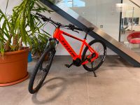 E-Bike TOTEM Maurice – E-HARDTAIL in orange    Sofort verfügbar!! Baden-Württemberg - Widdern Vorschau