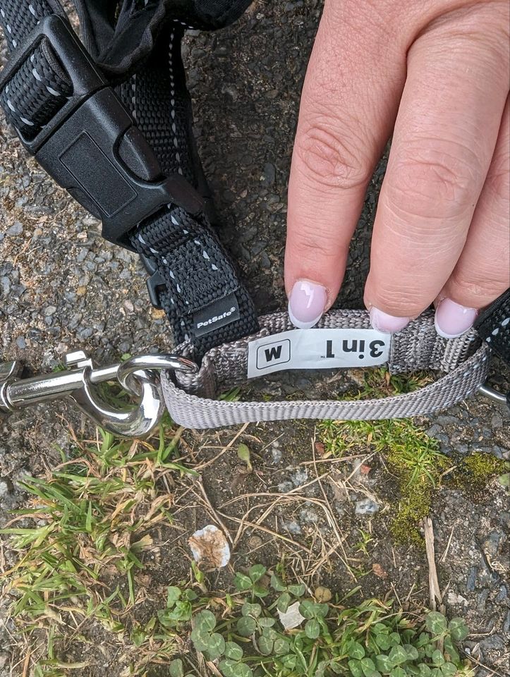 Anti Zug Geschirr, Sicherheitsgeschirr in Großkrotzenburg