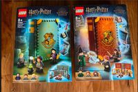 LEGO Harry Potter  76382 76383 NEU! Buch Verwandlung Zaubertränke Schleswig-Holstein - Kisdorf Vorschau