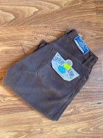 Replay Jeans M901 in braun Regular 26 27 28 45 Hessen - Bebra Vorschau