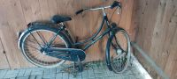 Fahrrad Damen Fahrrad 28'' Nordrhein-Westfalen - Anröchte Vorschau