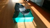 Paul Green Stiefelette Gr. 35,5 schwarz Rheinland-Pfalz - Höhn Vorschau