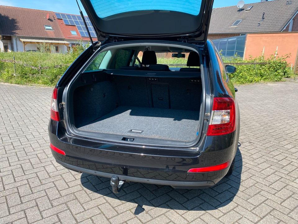 Skoda Octavia Kombi 1.6 TDI DSG in Oer-Erkenschwick