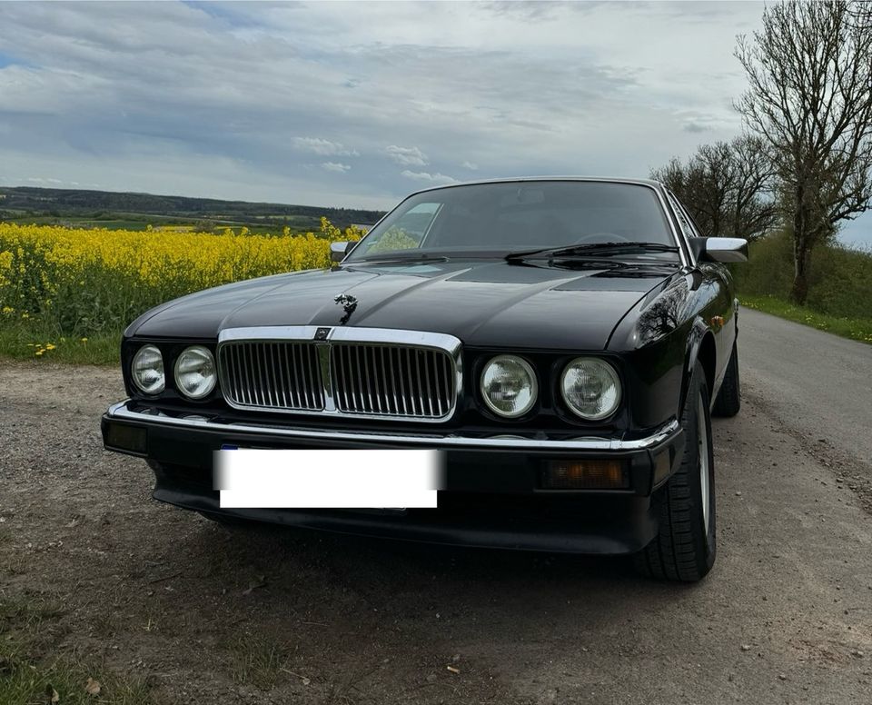 Jaguar XJ40 Sovereign 3,2 Liter in Allendorf