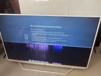 Grundig TV - Defekter Bildschirm West - Griesheim Vorschau