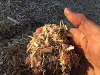 Gartenmulch Miscanthus Einstreu auch als Tiereinstreu Nordrhein-Westfalen - Remscheid Vorschau