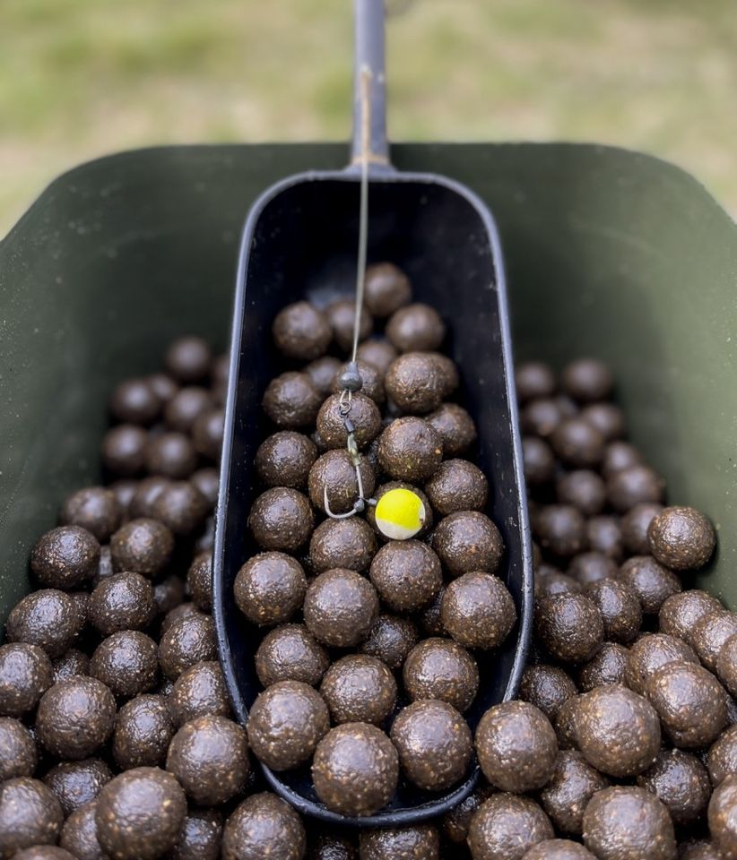 5Kg Oriental Fish Boilies, Bait Paste, Karpfen, Carp, nash in Uplengen