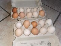 Frische Hühner Eier zu verkaufen Niedersachsen - Rhauderfehn Vorschau