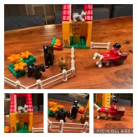 Lego Duplo Ponyhof Schleswig-Holstein - Schülp Vorschau