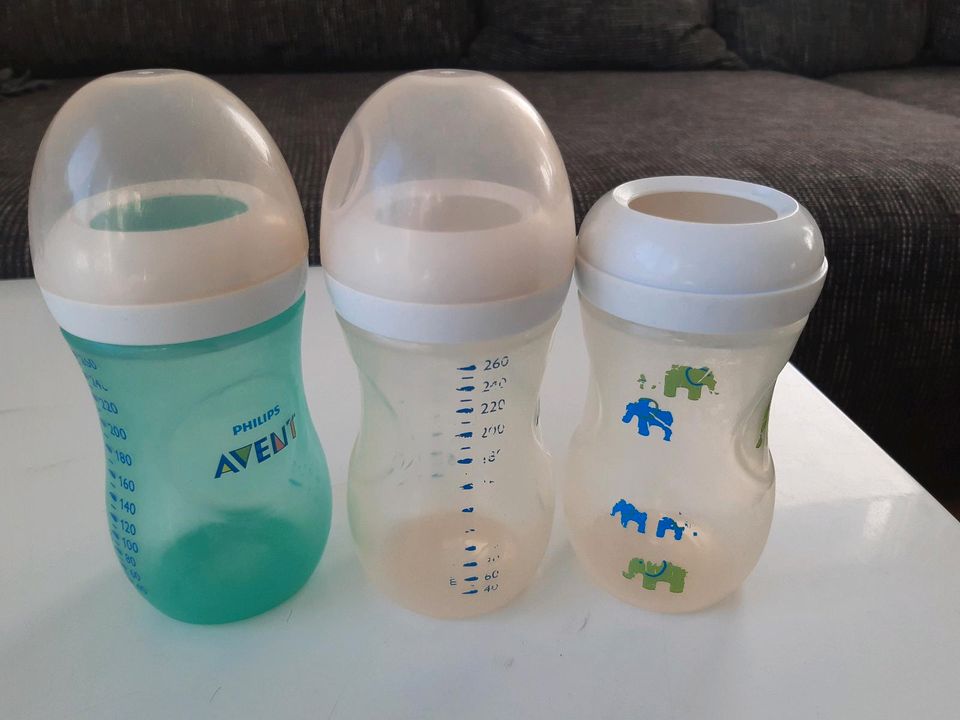 3 Avent Natural Flaschen 260ml in Eppingen